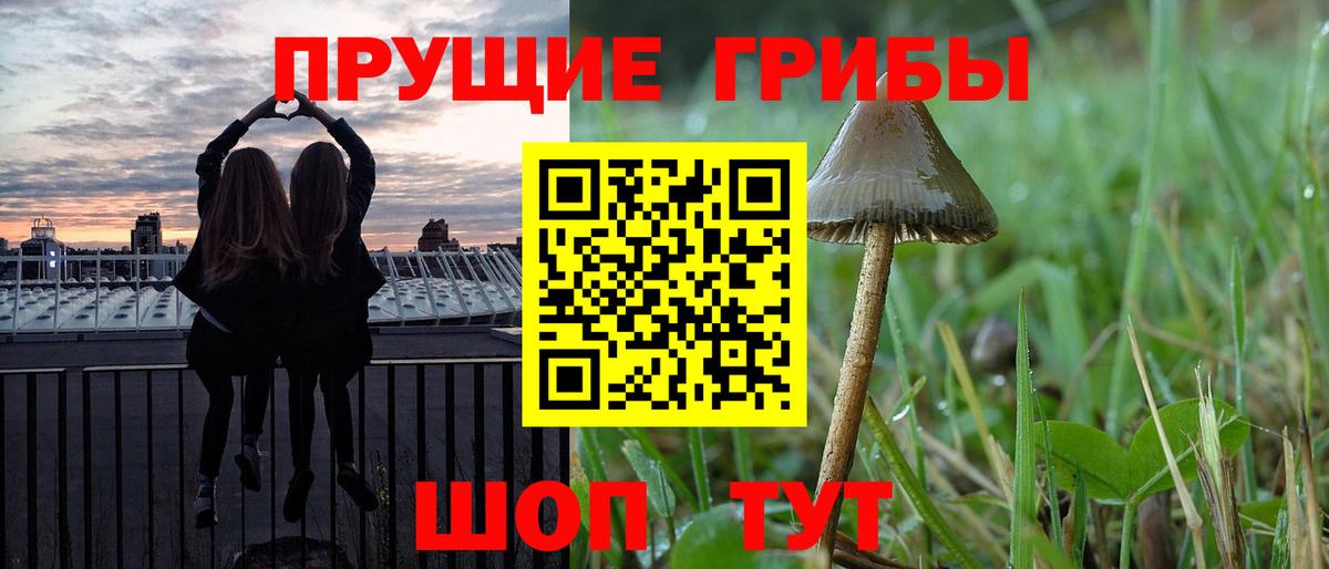 Псилоцибиновые грибы ЛСД  Вход с VPN  Пенза 